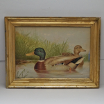 Click to view Chromolithograph Mallard Drake by Pope photos