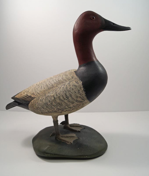 Canvasback Duck Decoy Carving by Finney