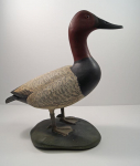 Thumbnail Image: Canvasback Duck Decoy Carving by Finney