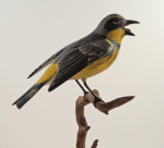 Thumbnail Image: Life-Size Magnolia Warbler Carving Finney