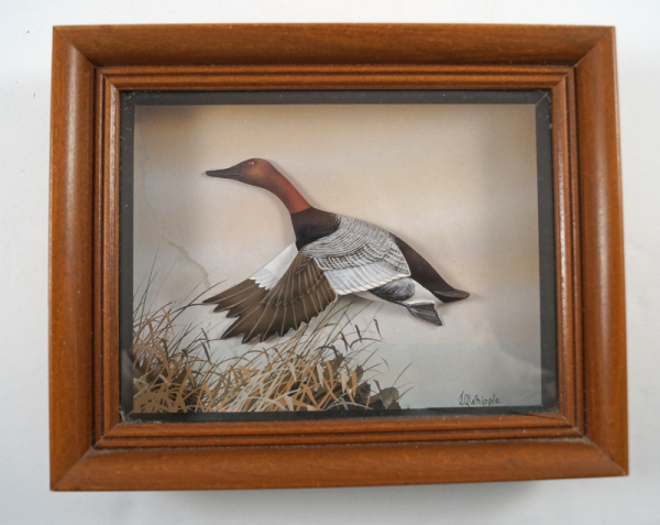 Canvas Back Duck Diorama by J.Q. Whipple #1
