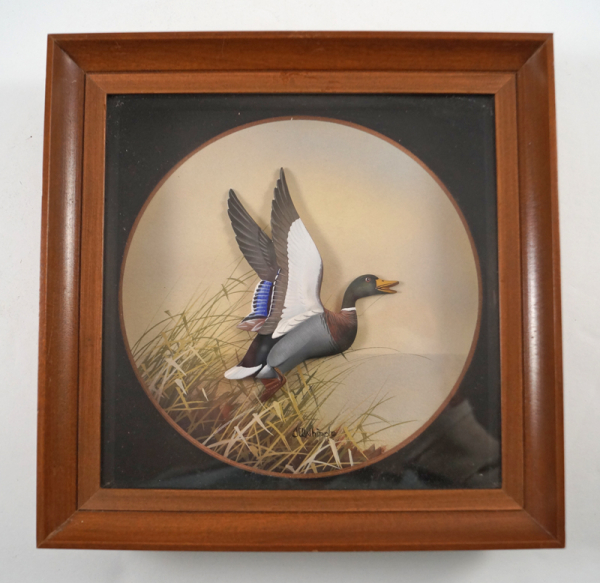 Mallard Drake Duck Diorama by J.Q. Whipple #3