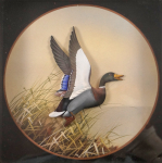 Thumbnail Image: Mallard Drake Duck Diorama by J.Q. Whipple #3