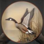 Thumbnail Image: Canada Goose Diorama by J.Q. Whipple #4 