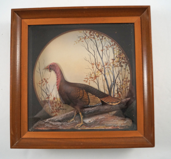 Turkey Game Bird Diorama by J.Q. Whipple #6 