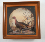 Thumbnail Image: Turkey Game Bird Diorama by J.Q. Whipple #6 