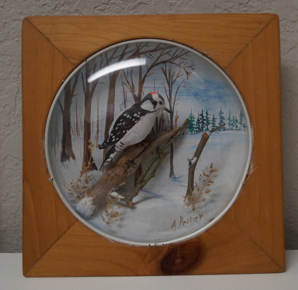 Downy Woodpecker Carving Diorama Peltier
