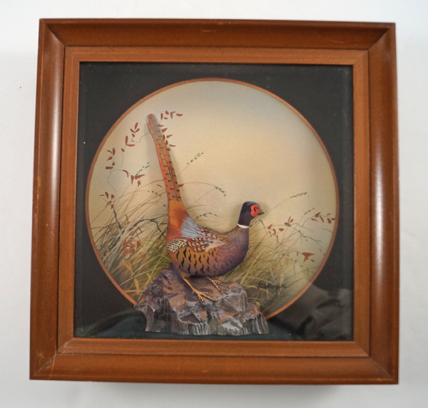 Pheasant Bird Diorama by J.Q. Whipple